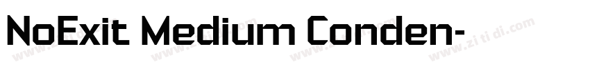 NoExit Medium Conden字体转换